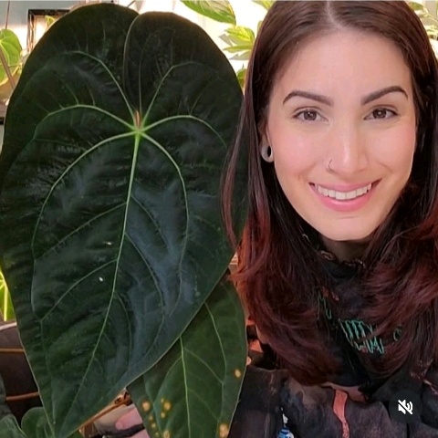 User Profile Image