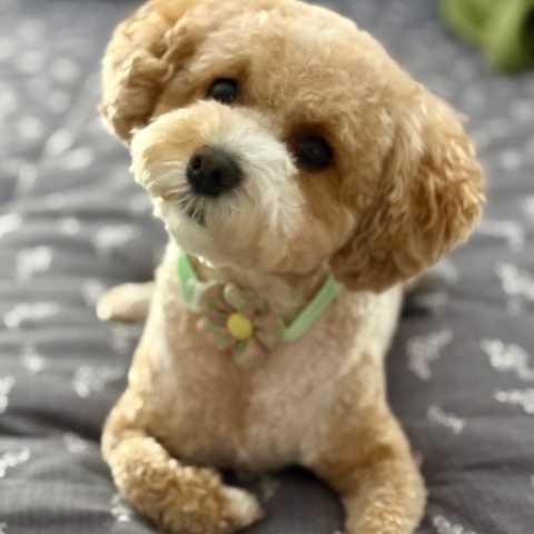 User Profile Image
