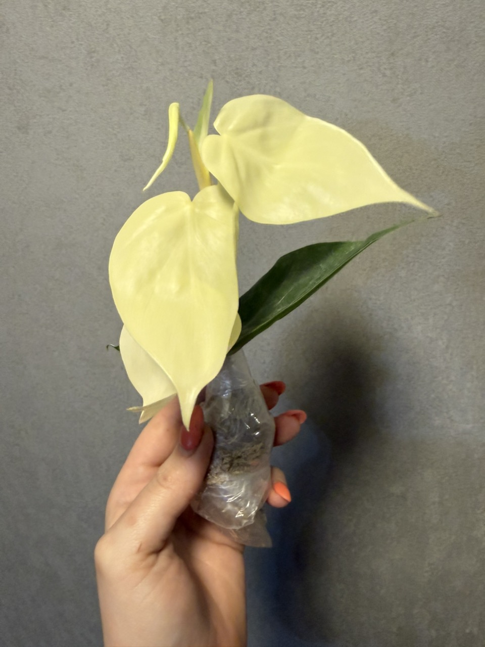 light lamp for plants LumiTower Pro Grow Light
