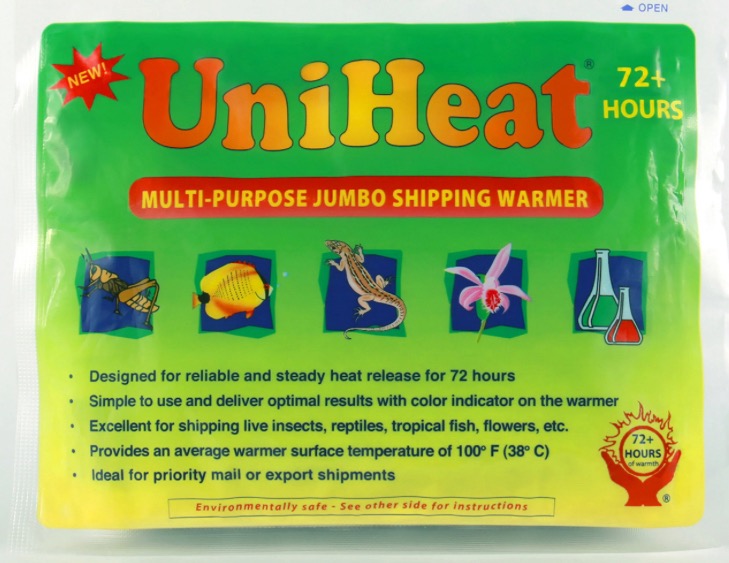 De Beer Blue Alocasia ($700) from @MonsterasAndPlants