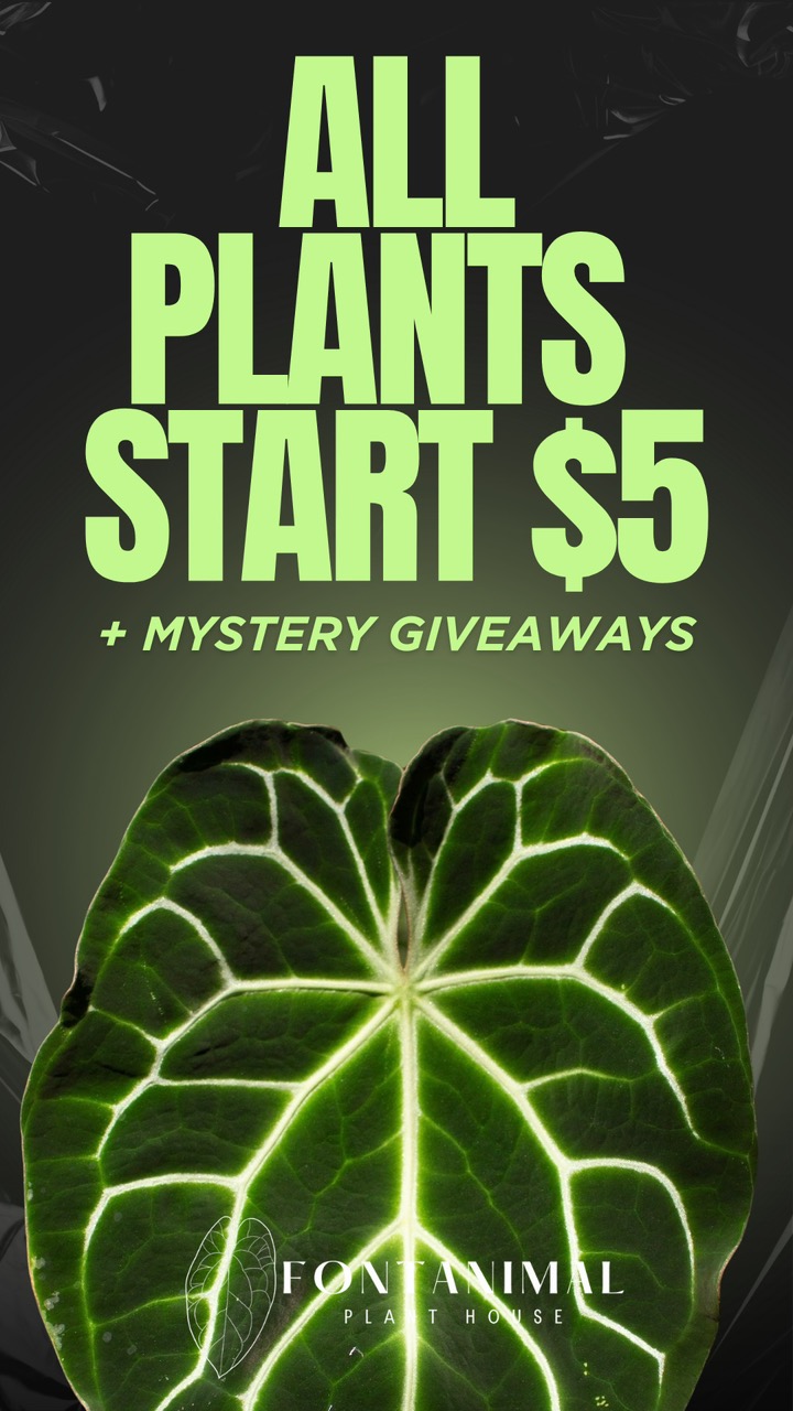 LIVE WITH FONTANIMAL PLANT HOUSE