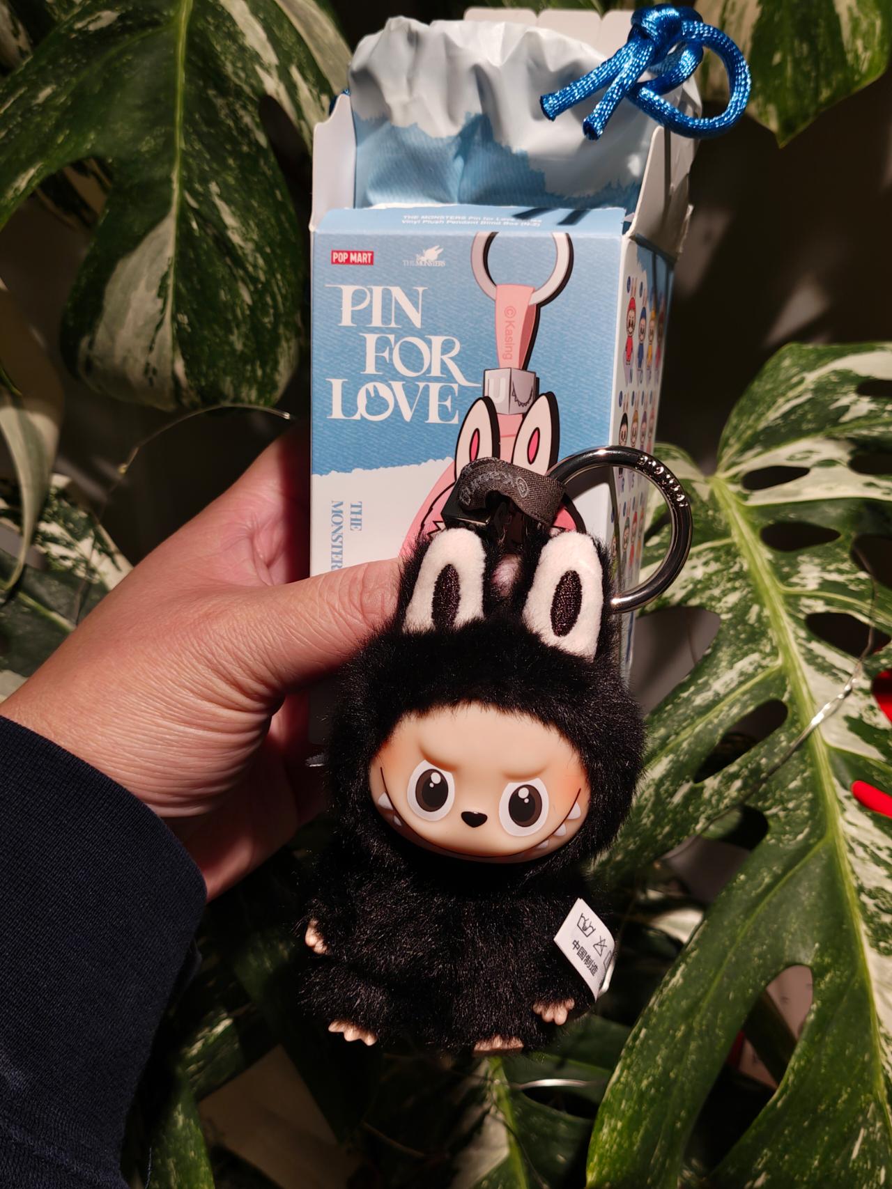 Open Box Pin for Love Letter R Black Labubu ($53) from @MatsByCat