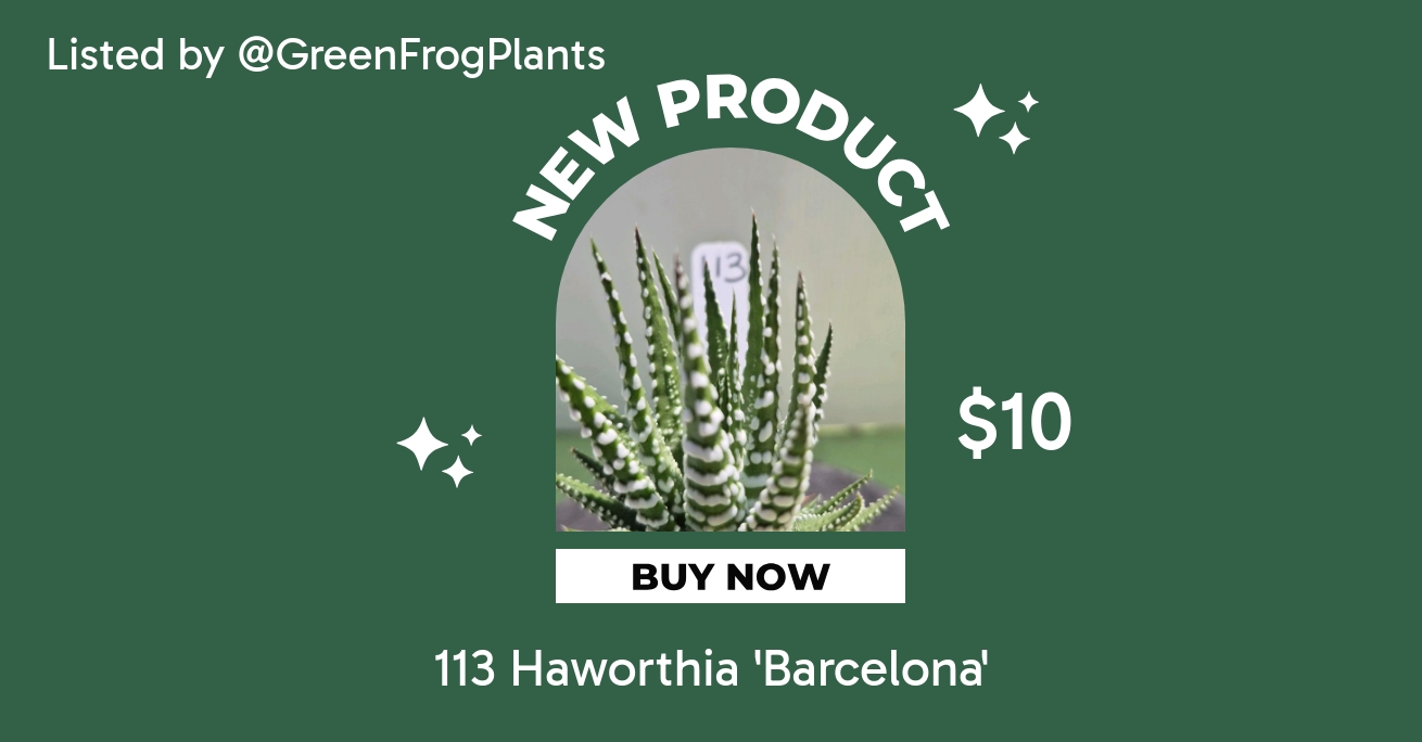 wildflowers seeds in bulk Wildflower Seeds Bulk – National Wildflower Seed Collection – Perennial  Wildflowers – Native Flora Seeds – Jayme Garden