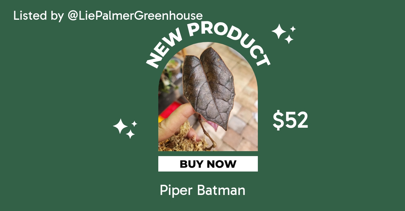 Piper Batman 0088 ($52) from @LiePalmerGreenhouse